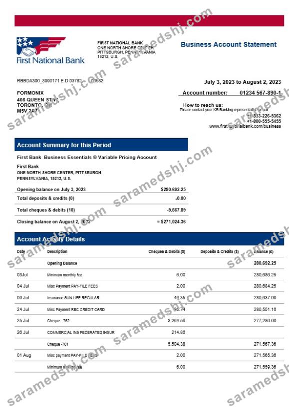 First National Bank firm statement Word and PDF template